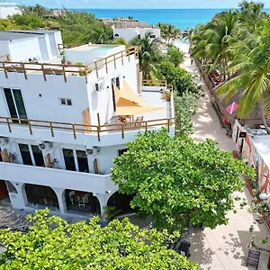 2* Gasthof Casa Alkimia Town